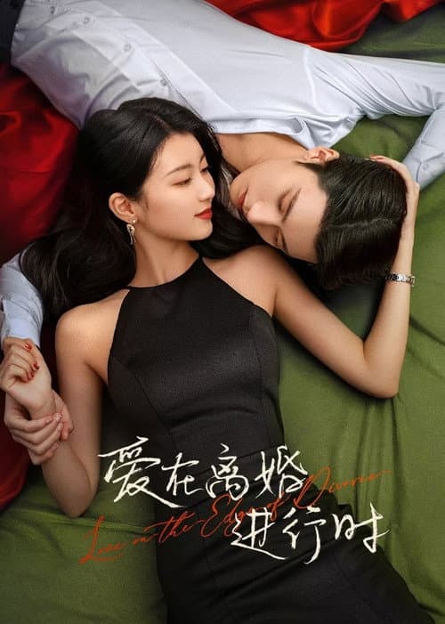 爱在离婚进行时 afişi