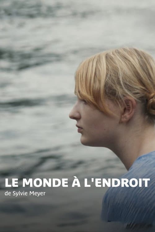Le Monde à l'endroit afişi