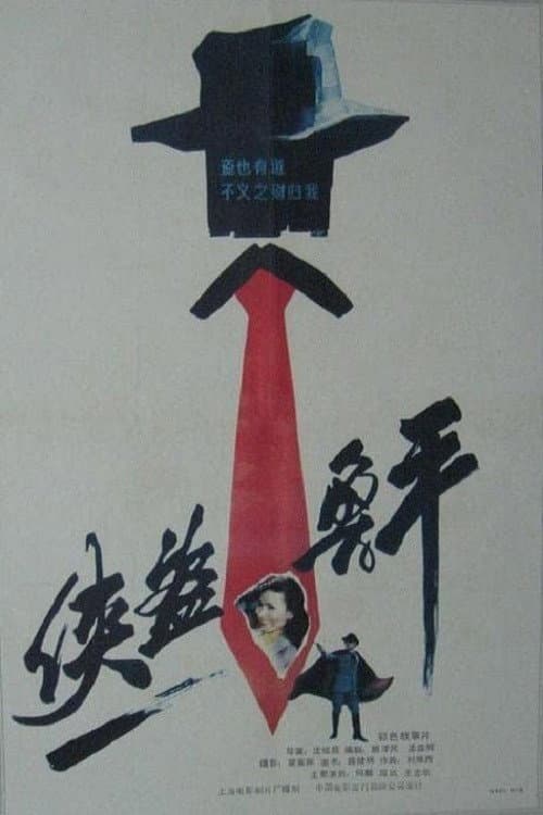 侠盗鲁平 afişi