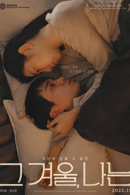 그 겨울, 나는 afişi