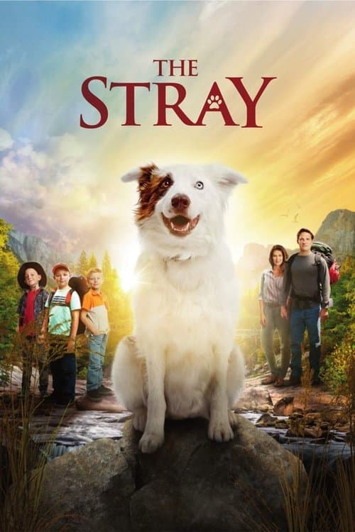 The Stray afişi