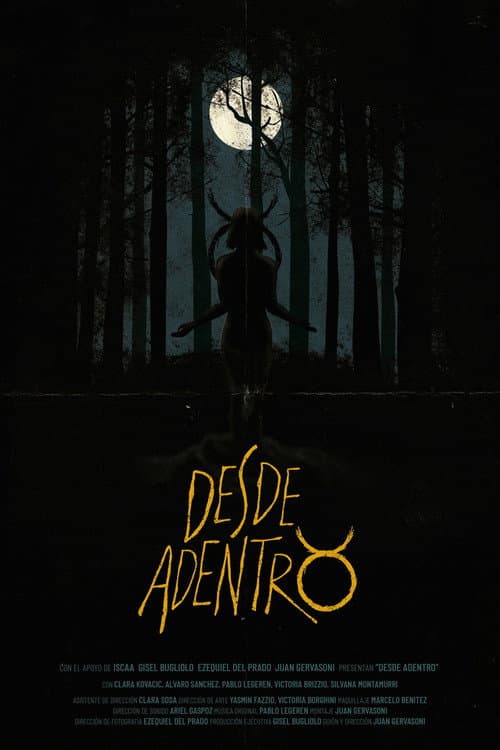 Desde Adentro afişi
