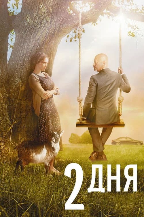 2 дня afişi