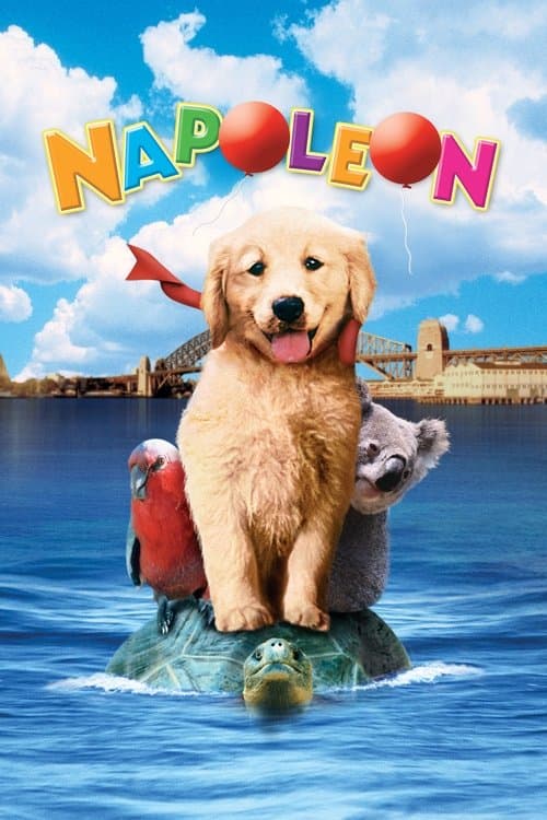 Napoleon afişi