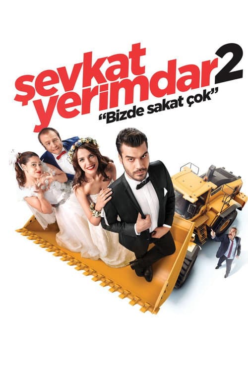Şevkat Yerimdar 2 afişi