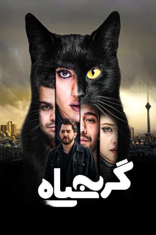 گربه سیاه afişi