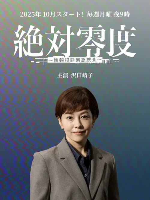 絶対零度～情報犯罪緊急捜査～ afişi