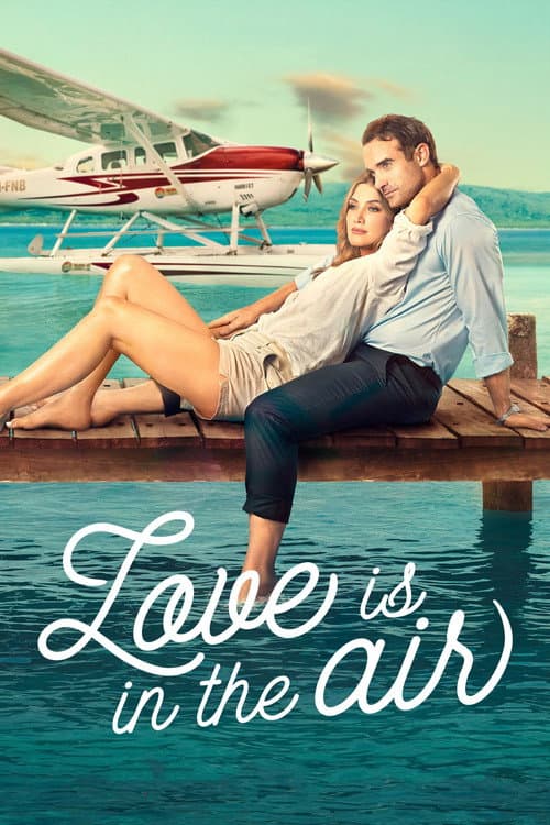 Love Is in the Air afişi