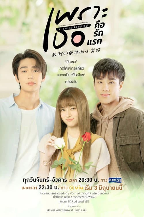 เพราะเธอคือรักแรก afişi