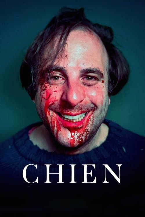 Chien afişi