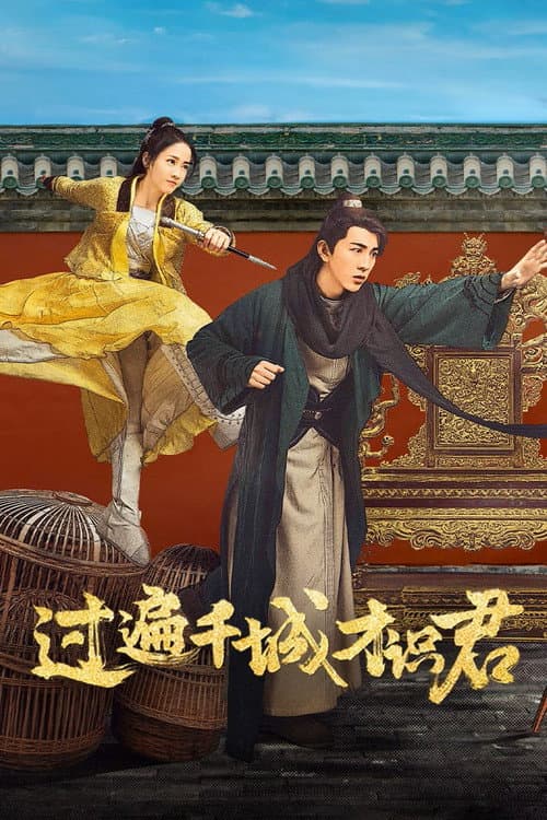 过遍千城才识君 afişi