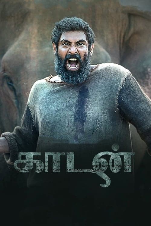 காடன் afişi