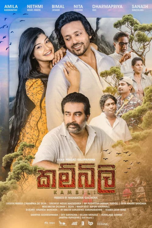 කම්බිලි afişi