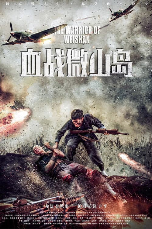血战微山岛 afişi