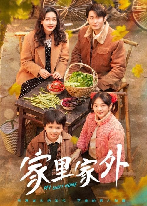 家里家外 afişi