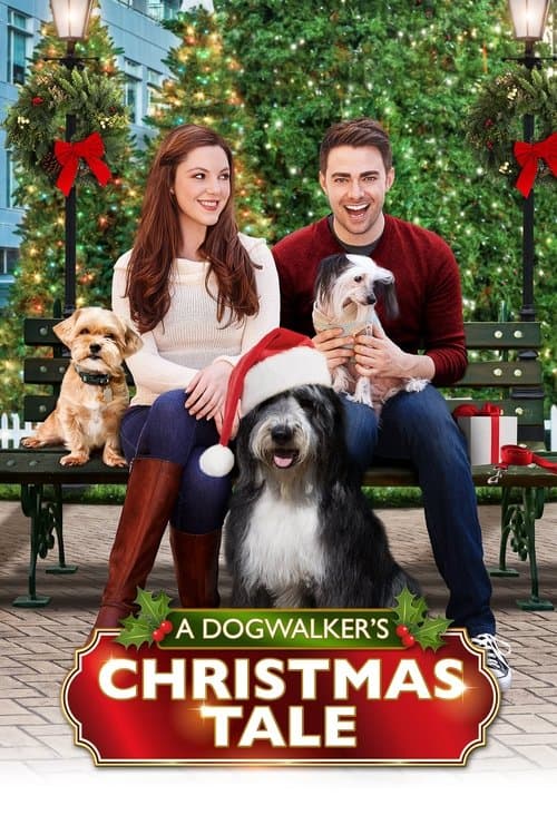 A Dogwalker's Christmas Tale afişi