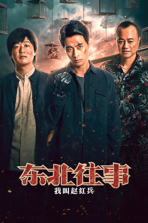 东北往事之我叫赵红兵 afişi