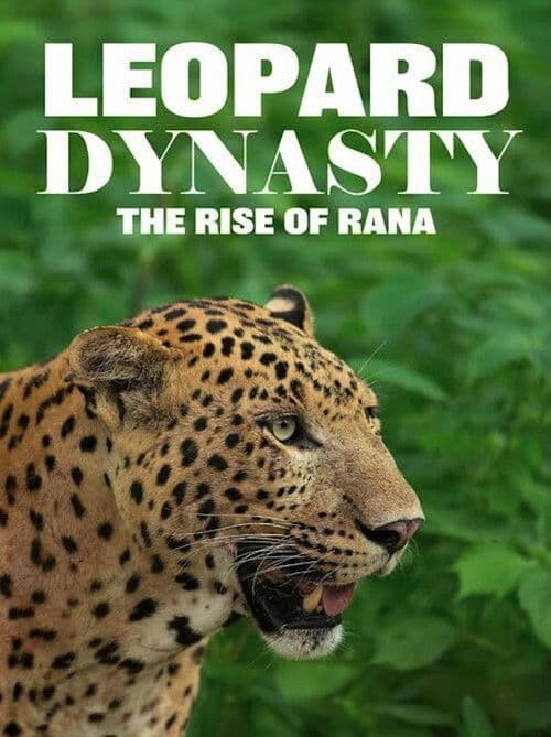 Leopard Dynasty – The Rise of Rana afişi