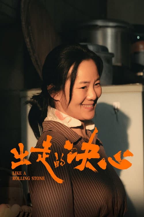 出走的决心 afişi