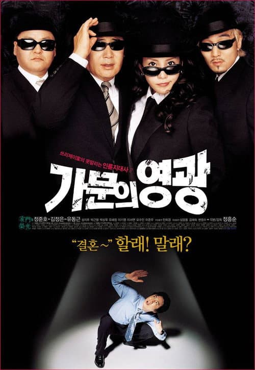 가문의 영광 afişi