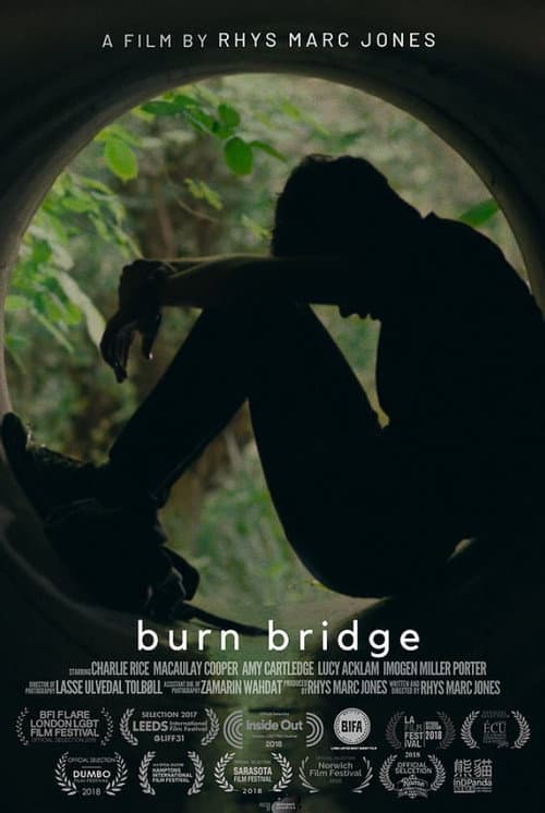 Burn Bridge afişi