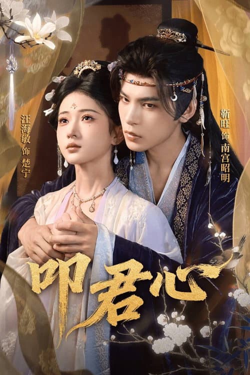 叩君心 afişi
