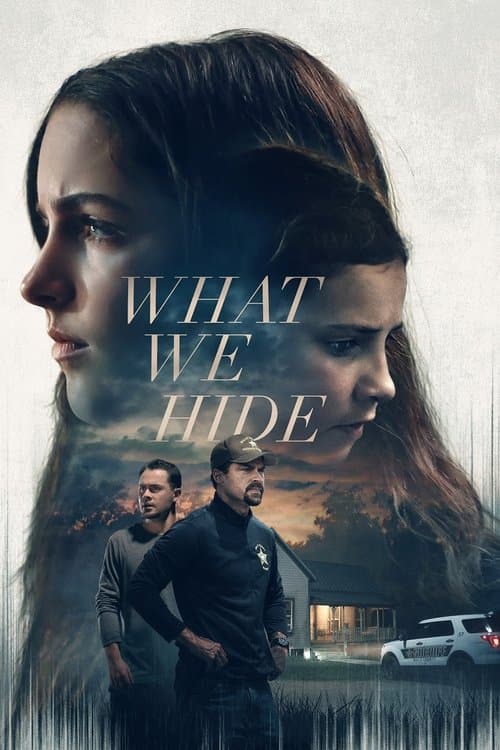 What We Hide afişi