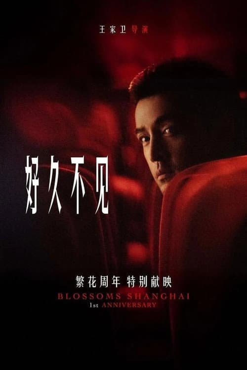 繁花剧场版 afişi