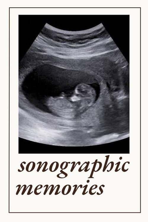 Sonographic Memories afişi