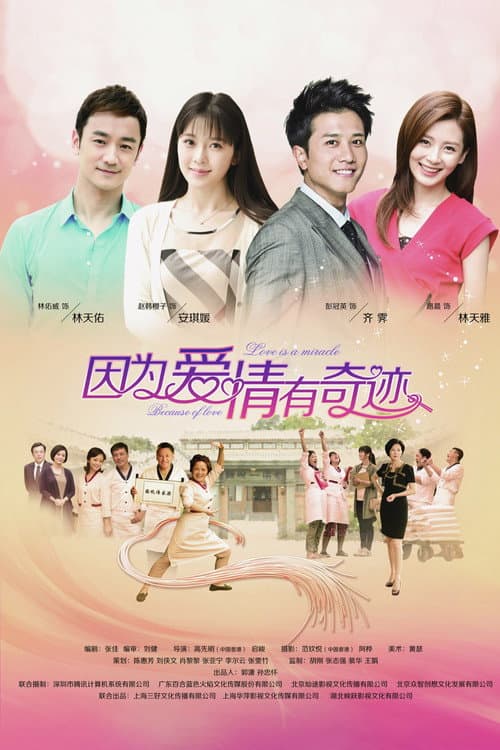 因为爱情有奇迹 afişi