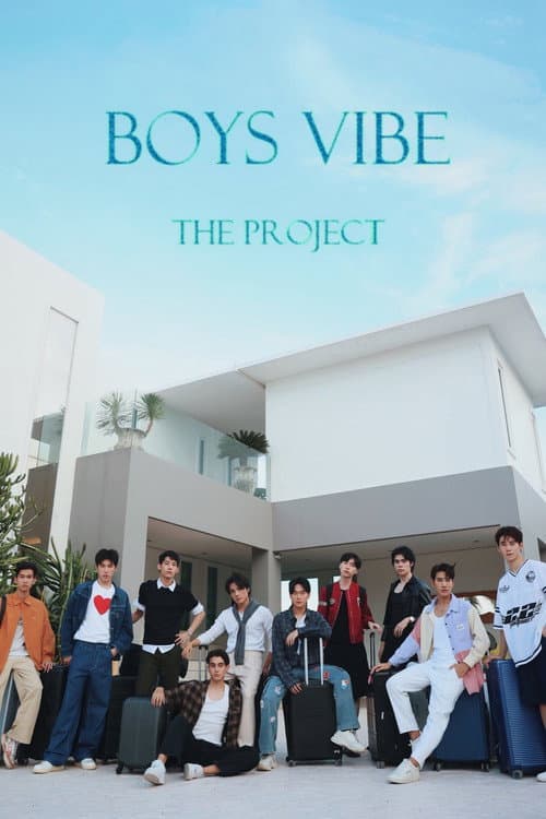 Boys Vibe The Project afişi