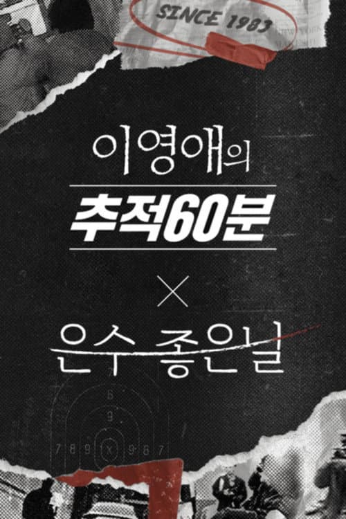 이영애의 추적 60분 afişi
