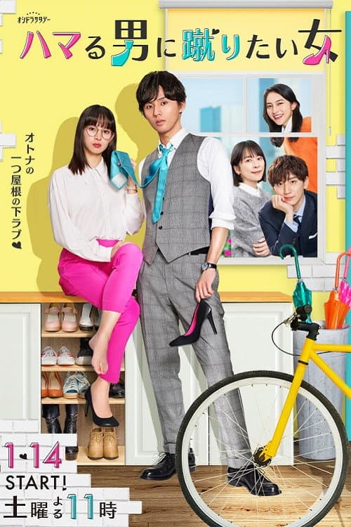 ハマる男に蹴りたい女 afişi