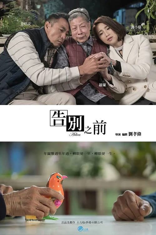 告別之前 afişi