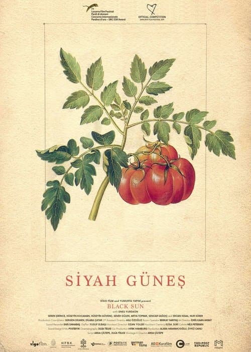 Siyah Güneş afişi