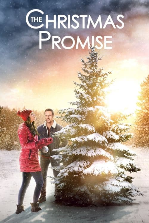The Christmas Promise afişi