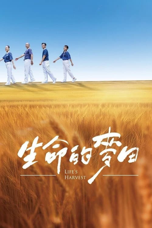 生命的麥田 afişi
