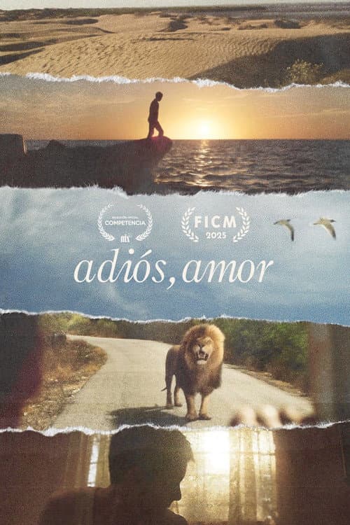 Adiós, amor afişi