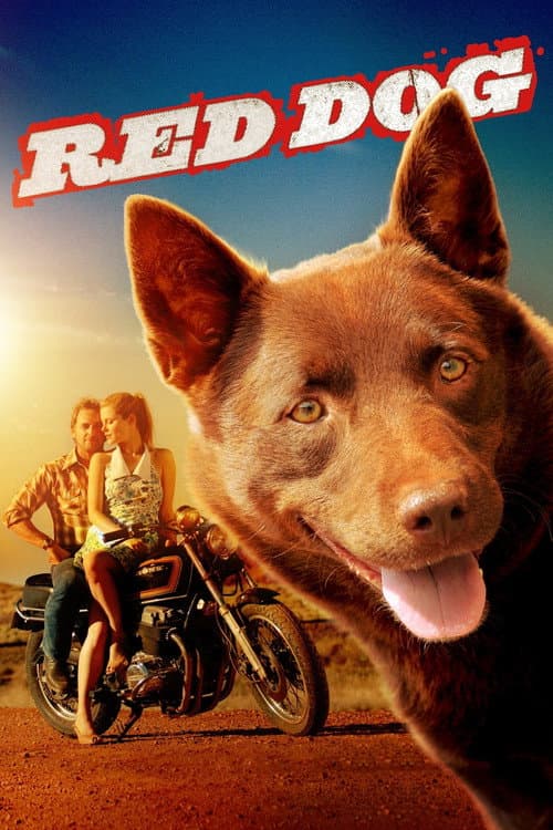 Kırmızı Köpek afişi