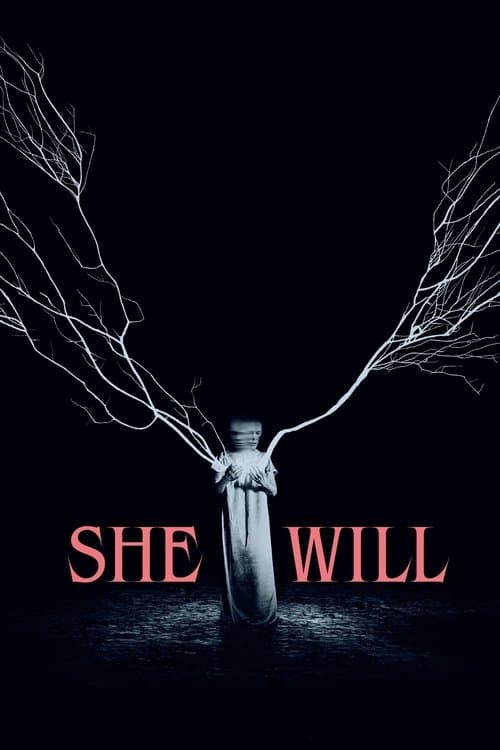 She Will afişi