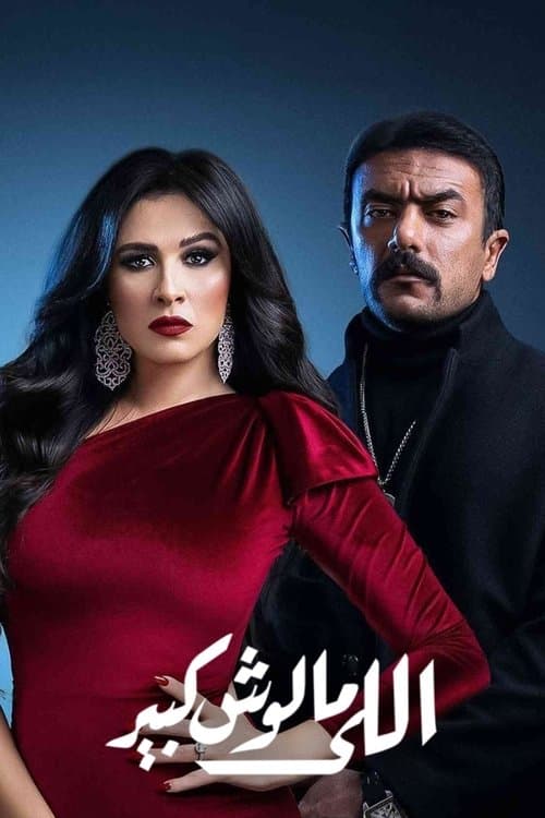 اللي مالوش كبير afişi
