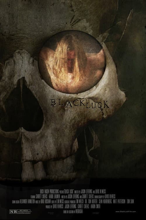 Black Luck afişi