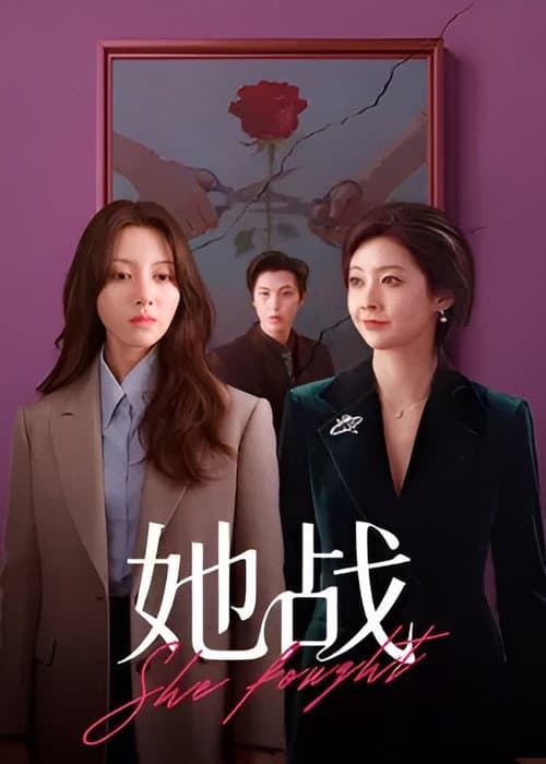 她战 afişi