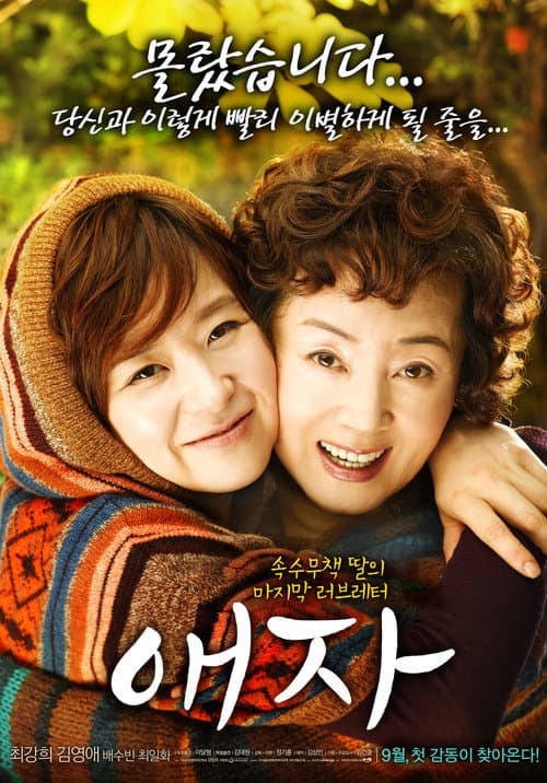 애자 afişi