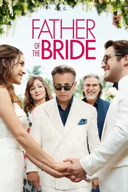 Father of the Bride afişi