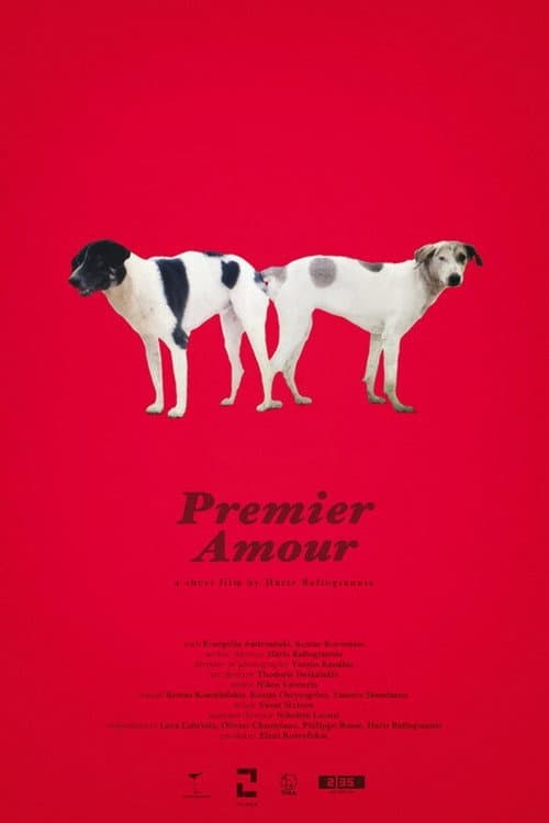 Premier Amour afişi