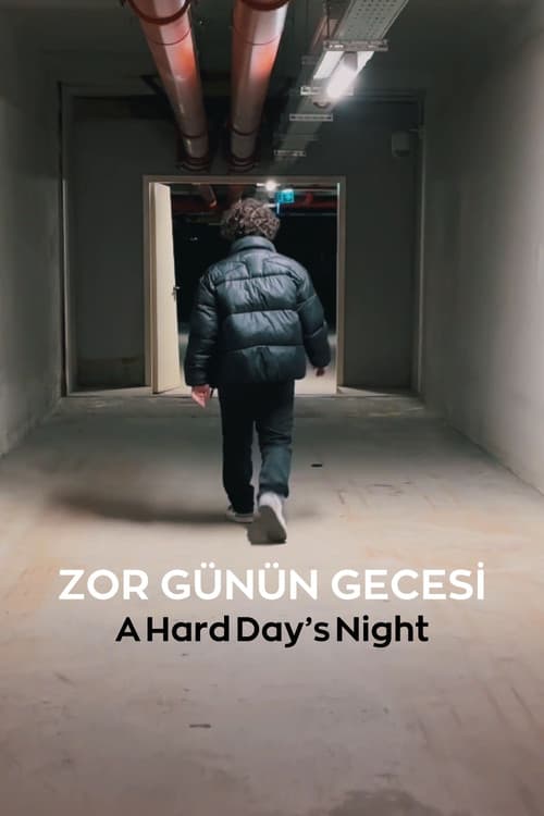 Zor Günün Gecesi afişi