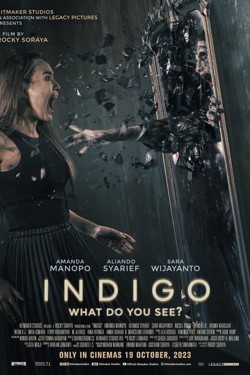 Indigo afişi