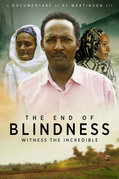 The End of Blindness afişi