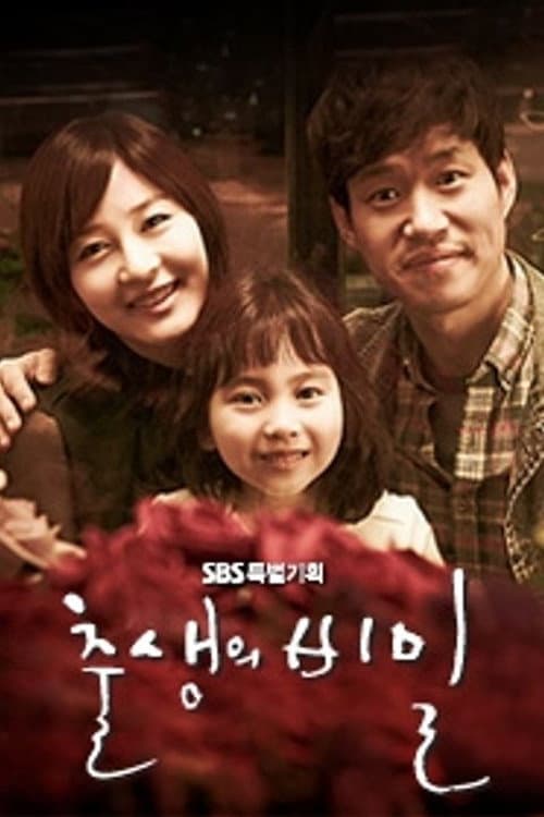출생의 비밀 afişi